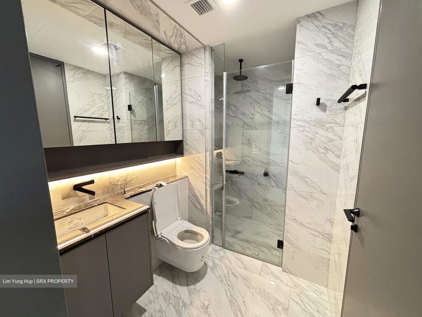 The Landmark (D3), Condominium #522362661